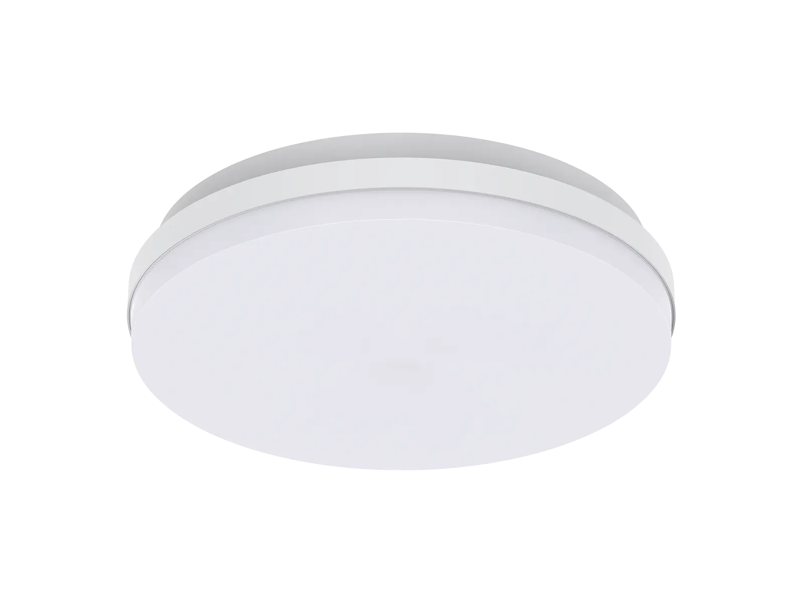 AL202-I03 LED Ceiling Light