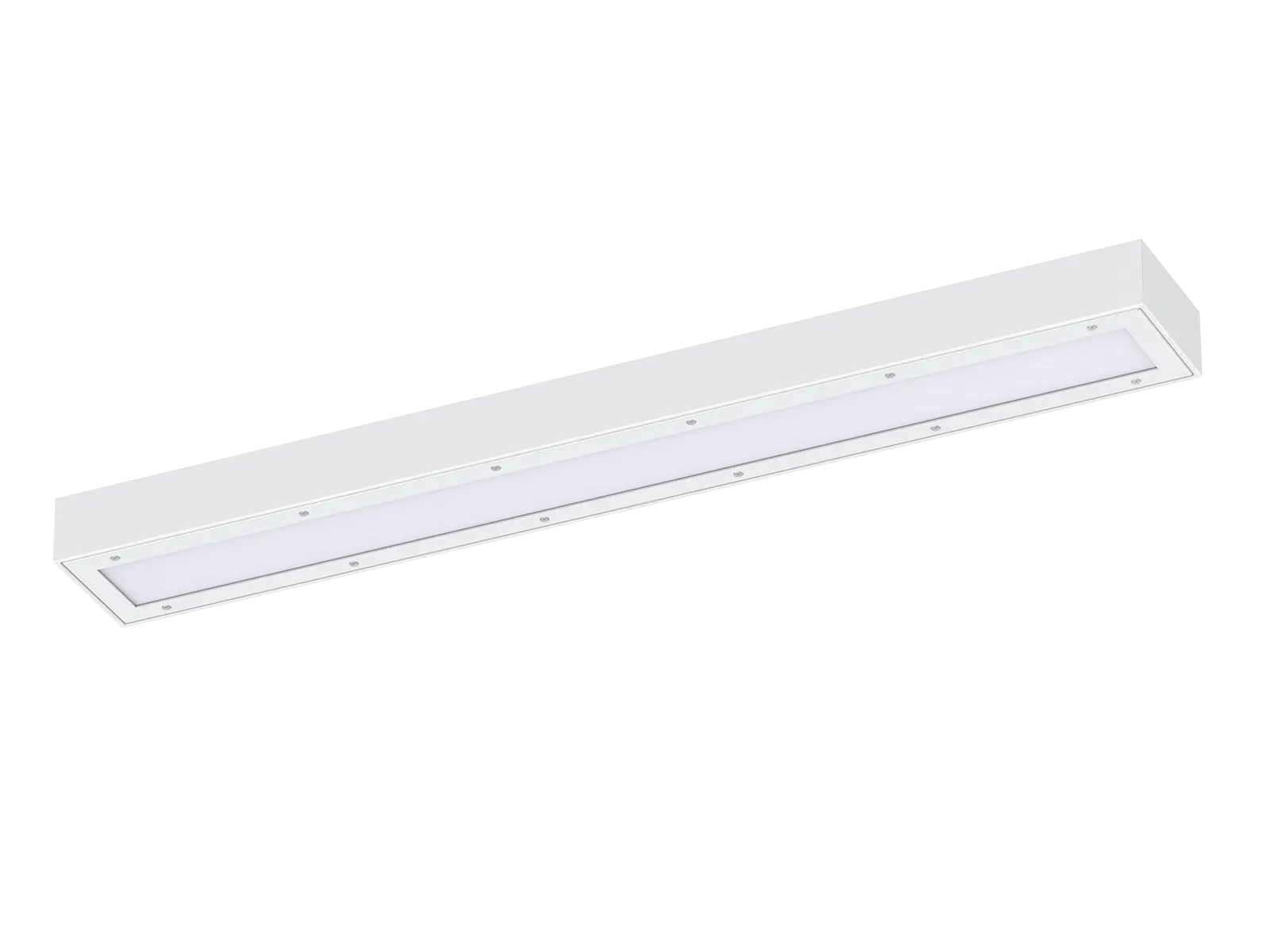 DB216 Vandal Resistant Lighting